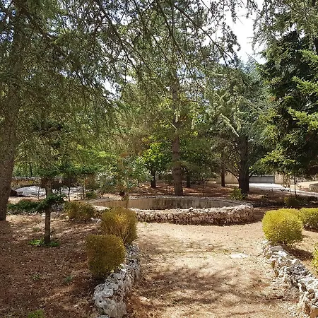 Villa Venus Woods-3
